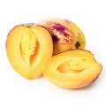 [Virladia Seeds] Biji Benih tanaman melon pepino kuning. 