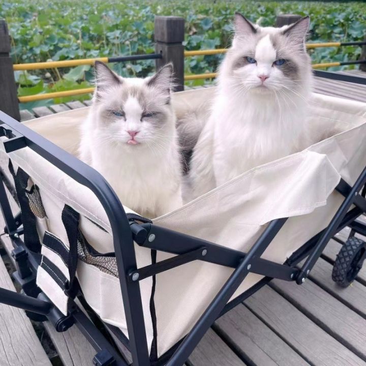 Xe Đẩy Hàng Gấp Gọn Dã Ngoại Du Lịch Cắm Trại Camping Tmoutain – Xe Kéo ...