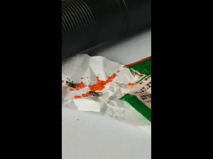 【100% Fly Killing】50pcs Fly Killer Powder Fly Killing Bait Powder Trap Flies Repellent Fly Attractant Flies Killer fruit Harmless to Human Body