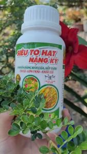 [Freeship Max] Phân bón lá vi lượng SIÊU TO HẠT NẶNG KÝ chuyên dùng bán nếp lúa tươi chai 500ml_VTNN TRUNG THIEN THINH