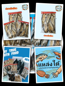 ปลาหลังเขียวจากแหล่งใต้