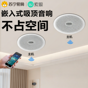Sony Wireless Bluetooth Ceiling Speaker 3D Surround Indoor Home Shop Broadcast 310 High Quality Sound Easy Installation