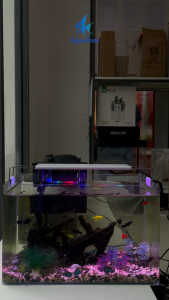 XML-Đèn máng 4 hàng bóng cho cá rồng Đèn Đổi Màu Cho Cá Rồng Đèn Chiếu Sáng Hồ Cá - Lazada