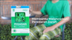 HIU Pegagan 60 Kapsul Herbal Indo Utama