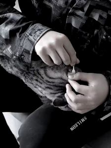 Durable Pet Grooming Hammock Pet Restraint Bag Dog Hanging Harness Dog Holder for Examining Nail Clipping Trimming Ear