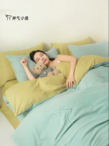 Antibacterial Mite-Proof Minimalist Bed Sheet Set