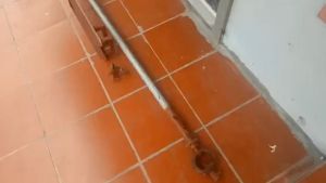 Máy hút bùn hút bồn cầu chất lượng cao 22 KW tại hưng yên