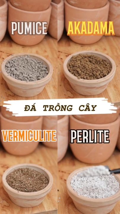 Túi 1Kg - Đá Bọt (Pumice Stone), Đá Pumice để trồng cây chất lượng cao | Độc quyền Family Garden