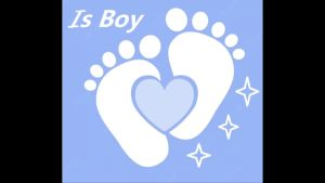 WFM005 油饭超值装满月礼盒  Glutinous Value Full Moon Gifts Packet