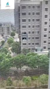 Super Strong Adhesion 2m Window Screen Repair Tape: A Comprehensive Guide