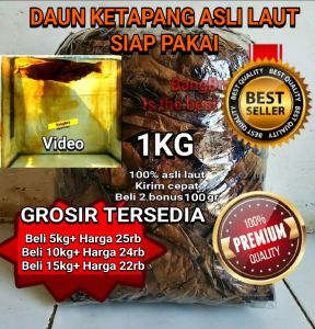 Daun Ketapang Laut olahan bersih kering BELI BANYAK MAKIN MURAH