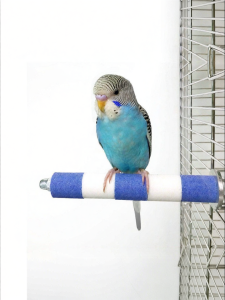 PET AND YOU | Bird Beak Grinding Stick Standing Perch