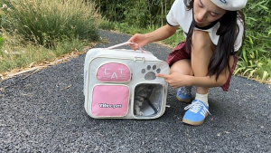 Smart Pets Portable All-Match Solid Color Cat Outdoor Bag Large Capacity Pet Bag