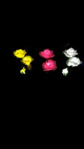Solar Light Waterproof 3 Bigger Rose Flowers Lights for Garden Yard Lawn sidewalk Pathway Lighting