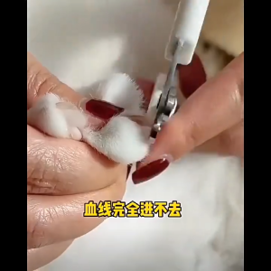 MeowMart Pet Nail Trimmer Nail Clipper Mini New style Interactive Easy Operate Anti-injury Safety Efficiency