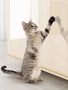 ZHUIHUI | Anti-scratch And Dirty-resistant Transparent Wall Stickers