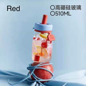 HOLOHOLO Premium Borosilicate Glass Bottle Cup with Glass Straw/ Office Use Tea Cup/ Cold Drink Cup 510ml