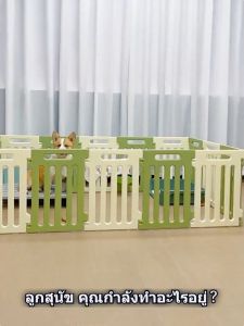 พร้อมส่ง🐕คอกสัตว์เลี้ยงตระแกรงเล็ก ความสูง 50cm คอกหมาอะคิลิค คอกกั้นสุนัขพลาสติก คอกหมาขยาย สุนัขชิวาวา สุนัขคอร์กี้ ลูกสุนัข