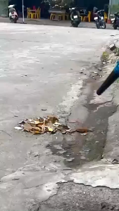 Máy thổi bụi Powex 21V PWX-MTBG1550 máy thổi bụi hút bụi công suất 680W lưu lượng gió 3.0m³/phút chân phổ thông M21