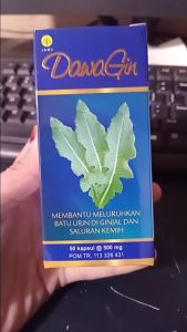 Kapsul DawaGin Toga Nusantara 50 kapsul