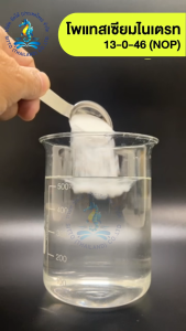 ปุ๋ยเกล็ด โพแทสเซียมไนเตรท 13-0-46 (NOP) (25กก.) ซิตโต้ โฟโปร ปุ๋ยเร่งหัว ปุ๋ยเร่งแป้ง