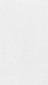 (50ชุด/ยกลัง400ชุด) กล่องซูชิ ถาดซูชิ อาหารญี่ปุ่น TakeAway ถาดเนื้อ Sashimi ถาดซาซิมิ กล่องซาซิมิ ถาดแซลม่อน thefoodbox