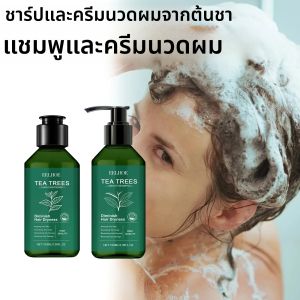 ชุดผลิตภัณฑ์ดูแลเส้นผม แชมพูและครีมนวดผมสูตรธรรมชาติจากทีทรี ช่วยทำความสะอาดหนังศีรษะ ลดรังแค ควบคุมความมัน ให้ผมเรียบลื่น เงางาม