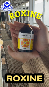 ROXINE INJEKSI 100ml Antibiotik infeksi Pernafasan Sapi kambing Domba unggas - Obat CRD Hewan Ternak
