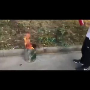 Cyboo Original Portable Mini Car Stop Fire Extinguisher Special Extinguishing Formula D-206