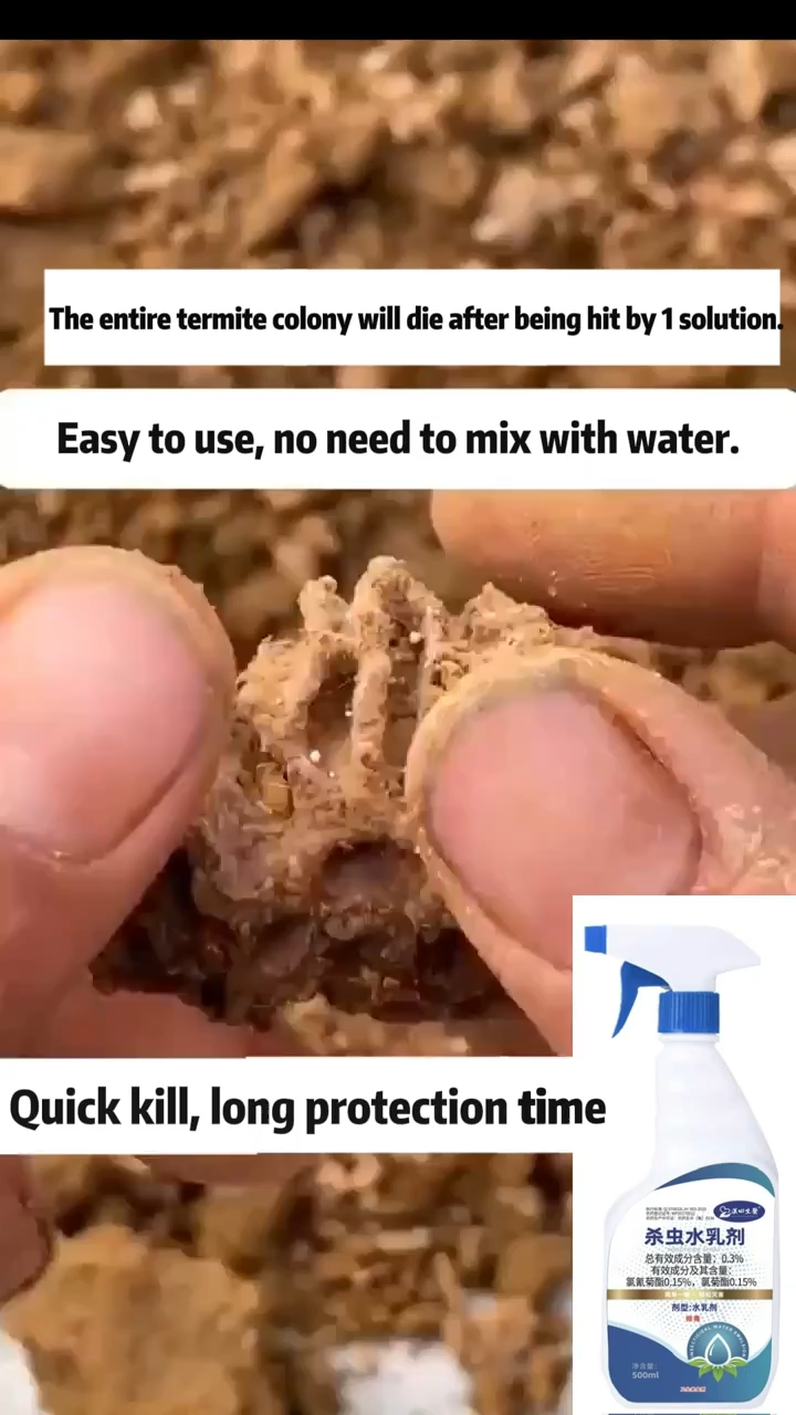 No termites forever‼ Termite&ant killer Termite spray 白蚁喷雾 500MLSpray a few times on the termitesand they will return to the nest with the virusinfecting and killing the nest termites one by one white ant killer ubat anai anai terbaik racun anai anai