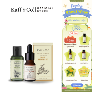 Kaff & Co. หนังศีรษะมัน ลดอาการผมร่วง ผมลีบ แชมพูน้ำมันมะกรูดสกัดเย็น 40ml & ทรีทเม้นท์สารสกัดเหง้าขิง 10ml