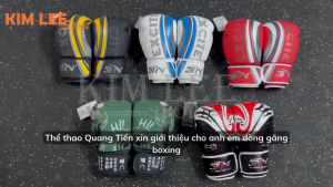 Găng tay boxing Bn 4.0 EXITE 2020 chính hãng