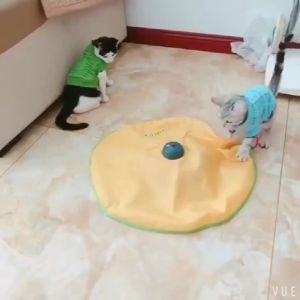 4 Speeds Motion Undercover Mouse Fabric Moving Feather Interactive Pet Toy For Cat Kitty Automatic Electric Cat Toy Plate