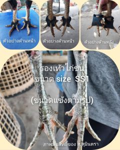 🩴รองเท้าสำหรับไก่ชนและทุกสายพันธุ์ไก่ ไซส์  SS1 ไซส์สำหรับไก่หนุ่ม5-8เดือน  ใช้วัสดุที่เหนียว และทนทาน  ใช้ได้นาน คุ้มค่าคุ้มราคา