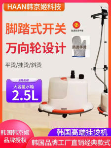 Haan Steam Iron Machine Handheld Home Use Garment Shop Vertical Hanging Ironing Machine Electric Heat up to 60 Minutes Continuous Work
