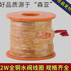 yishujia office | Full Copper Water Solenoid Valve
