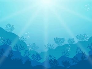 ดีบอนด์ D-BOND อาหารเสริมบำรุงกระดูกและข้อ ลด ปวด อักเสบ หลังออกกำลังกาย