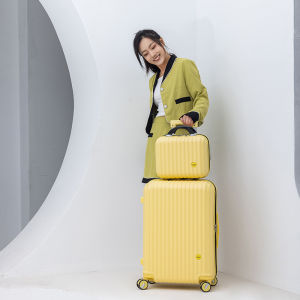 High Quality Travel Suitcase 2024 New Model Small Size Carry-On Wheel Spinner for Men And Women Fashionable Trendy Polyester