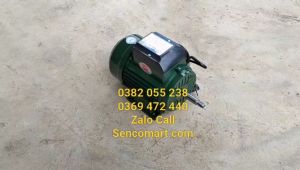 Bán motor Toàn Phát 750w điện 220v tua nhanh 2900v/p chính hãng