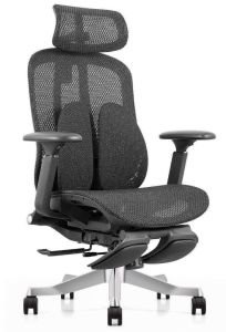 Ergonomic Chair Computer Chair Gaming Boss Office