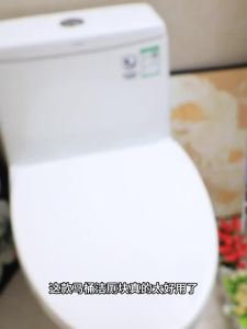Yinian | Powerful Toilet Cleaner Blocks Deodorant Disinfectant