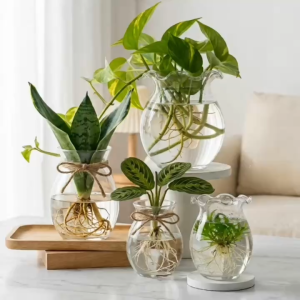 Bình Hoa Thủy Tinh Dáng Bầu Dục Miệng Bèo Decor Nhiều Kích Thước Trang Trí Nhà Cửa Cao Cấp