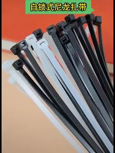 500 Cái Dây Buộc Cáp Nylon Có Thể Điều Chỉnh Tự Khóa Dây Buộc Nhựa Tái Sử Dụng Vòng Buộc Dây Cho Nhà Văn Phòng Tổ Chức Sắp Xếp