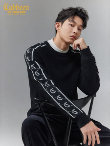 Cabbeen | Áo Sweater Nam Dệt Kim Họa Tiết Cổ Điển Dài Tay