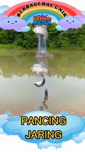 Pancing Jaring Kupu kupu lebih besar dan Pancing Jaring Biasa