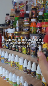 Paket Hemat 2 Pcs Nektar Super Merah 140ml Suplemen Pakan Nutrisi Vitamin Burung Pemakan Buah