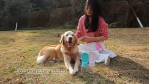 350ml 500ml Pet Dog Portable Water Bottle Puppy Dogs Squeeze Water Bottle Dispenser Food Dispenser