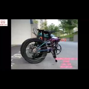 FORTRESS KOSDA 20 Inch Folding bike Dolpins Folding Bike Bicycle Sport aluminum alloy
