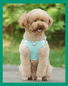 [Stock Ready] Small Medium pet puppy chest adjustable light harness reflective walking leash vest anjing kucing狗狗牵引绳 宠物胸背带 猫