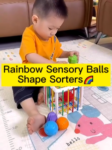 Little Buddy Montessori Sensory Learning Toys for Infants 0-18 Months Squeeze-and-Grab Toys Stacking Toys Color Recognition